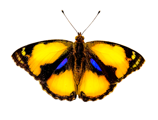 humidity and temperature sensors mounted for greenhouse microclimate control emberfog sensor pack