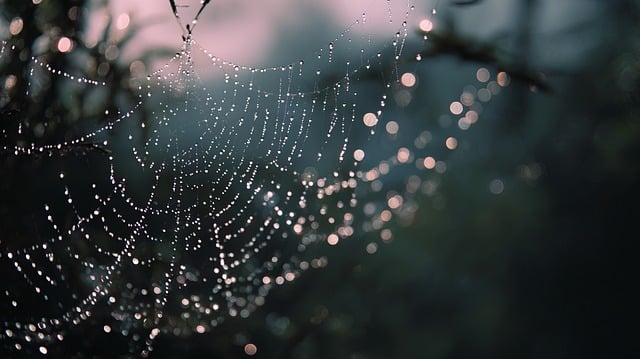 mist-filled greenhouse bay with high-pressure fogging lines and droplet patterns emberfog case study illustration no people